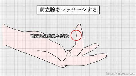 前立腺マッサージ方法|勃起不全を改善するための前立腺マッサージ 